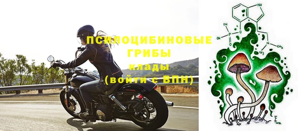 героин Алексин